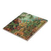 Carreau Moss (Muscinae) par Haeckel (Côté)