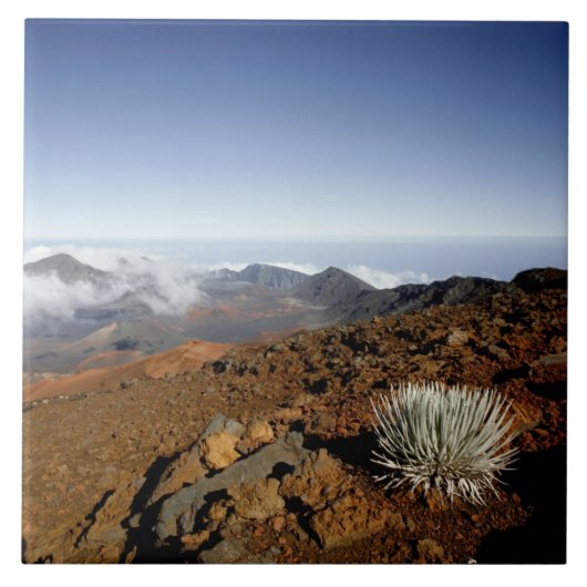Carreau Mot d'argent sur la rime du cratère de Haleakala d (Devant)