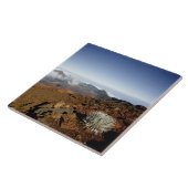 Carreau Mot d'argent sur la rime du cratère de Haleakala d (Côté)