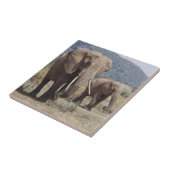 Carreau Mother éléphant walking with elephant calf (Côté)