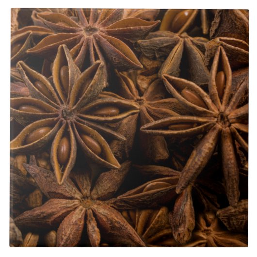 Carreau Motif Anise Stars (Devant)
