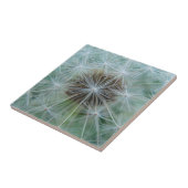 Carreau Motif blanc (Côté)