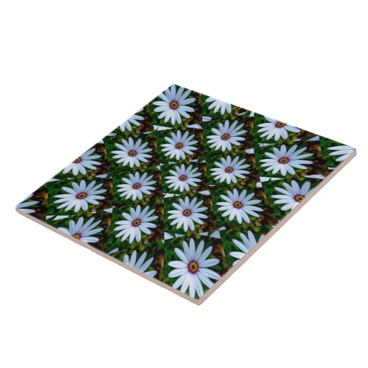 Carreau Motif blanc (Côté)