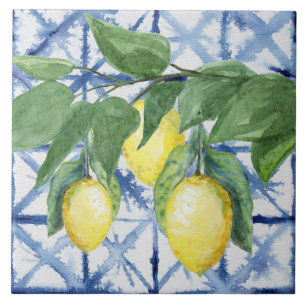 Carreau Motif blanc bleu Citrus  aquarelle