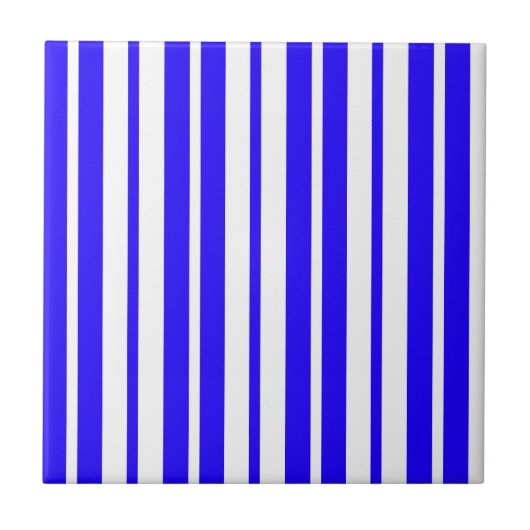 Carreau Motif Bleu Blanc Vertical Grilles (Devant)