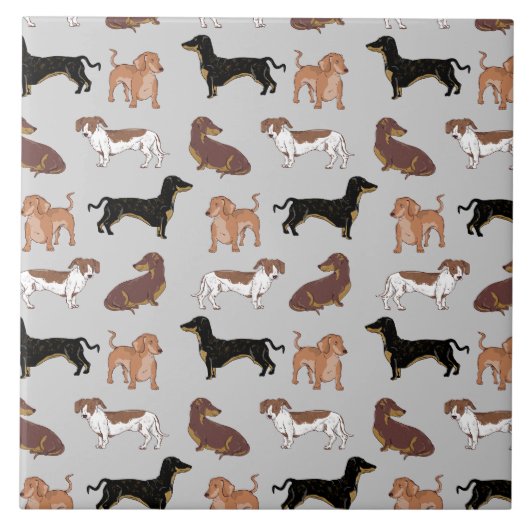 Carreau Motif chien Dachshund (Devant)