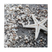 Carreau Motif Coastal Ocean Sea Shell (Devant)