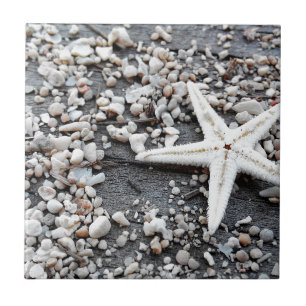 Carreau Motif Coastal Ocean Sea Shell