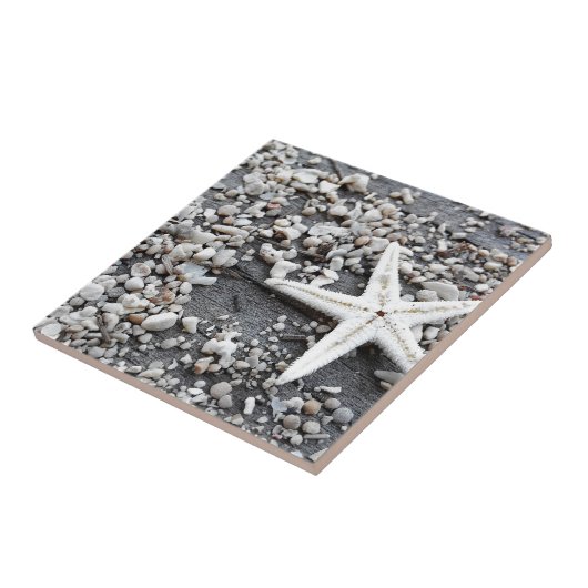 Carreau Motif Coastal Ocean Sea Shell (Côté)