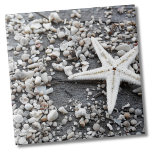 Carreau Motif Coastal Ocean Sea Shell<br><div class="desc">Belle impression faite de tonnes de coquillages et de roches, avec une étoile blanche ! Idéal pour les amateurs de plage, de sports nautiques ou de motif d'été. Un peu noir et blanc à cause des couleurs. Que vous souhaitiez utiliser ce carrelage comme petit dessous de verre ou trivet pour...</div>