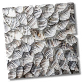 Carreau Motif Coastal Ocean Sea Shell