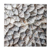Carreau Motif Coastal Ocean Sea Shell (Devant)