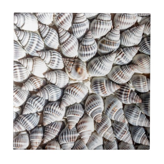 Carreau Motif Coastal Ocean Sea Shell (Devant)