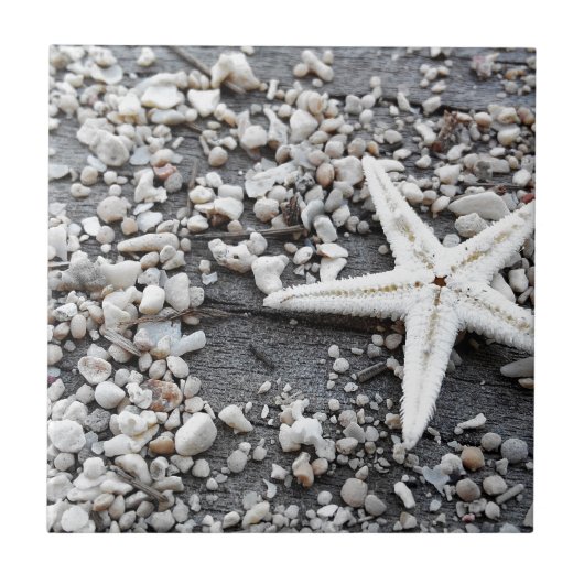 Carreau Motif Coastal Ocean Sea Shell (Devant)