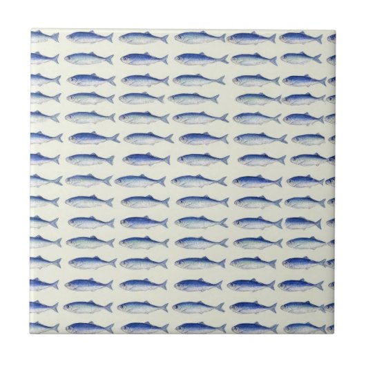Carreau Motif côtier minimal horizontal Sardines bleues (Devant)