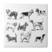 Carreau Motif de chiens Vintages noirs et blancs (Devant)