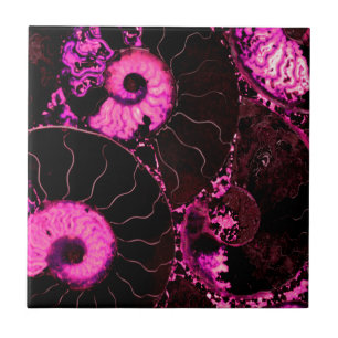 Carreau Motif de coquille fossile rose Nautilus