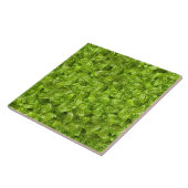 Carreau Motif de feuilles de basilic (Côté)