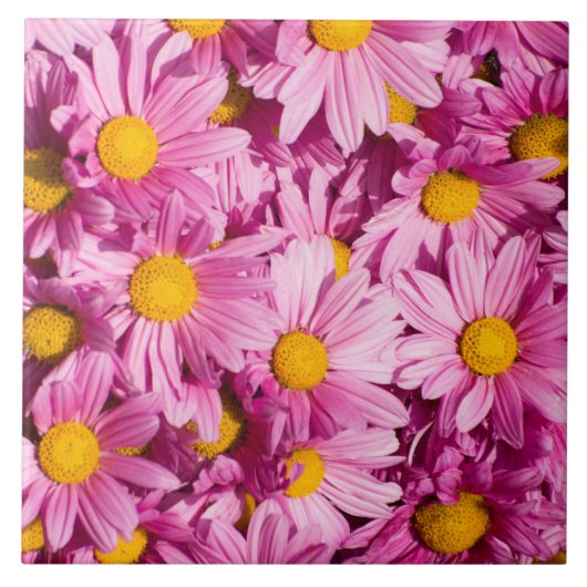 Carreau Motif de marguerite rose (Devant)