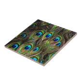 Carreau motif de paon (Côté)