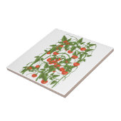 Carreau Motif de tomates (Côté)