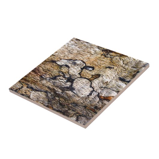 Carreau Motif d'écorce d'arbre (Côté)