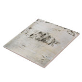 Carreau Motif d'écorce de bouleau (Côté)