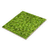 Carreau Motif Feuille Basil (Côté)