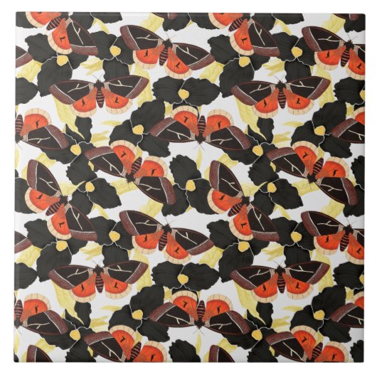Carreau Motif papillon de la teigne (Devant)