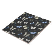 Carreau Motif papillon de la teigne (Côté)