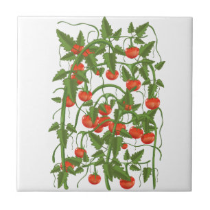 Carreau Motif Tomates