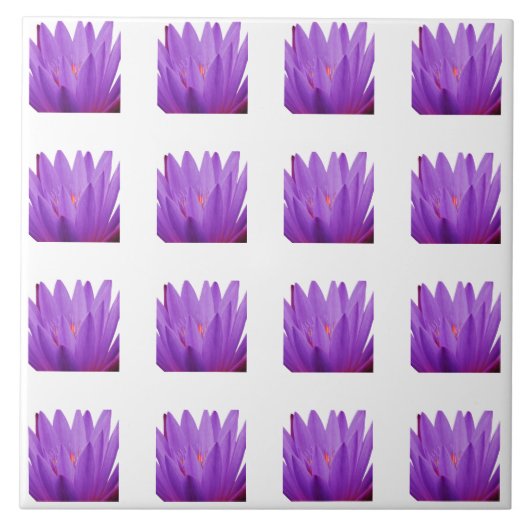 Carreau Motif Tulip (Devant)