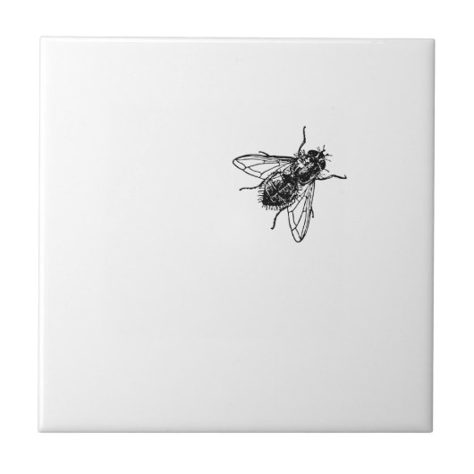 Carreau mouche (Devant)