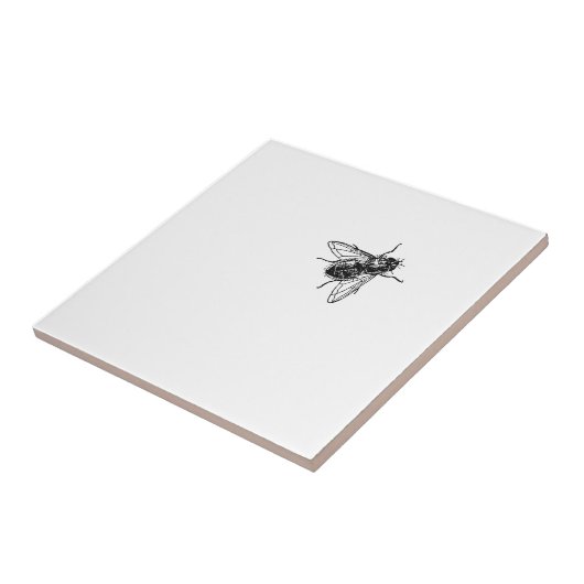 Carreau mouche (Côté)