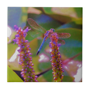 Carreau Mouche fuchsia de fleur et de dragon