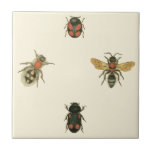 Carreau Mouches et coléoptères par Vision Studio<br><div class="desc">Cette impression Vision Studio est peut-être réservée aux amateurs d'insectes ! Mouches et coléoptères se rassemblent sur un arrière - plan crème,  encadré par une bordure noire. Si vous êtes dans l'entomologie,  ou connaissez quelqu'un qui est,  c'est un grand morceau !</div>