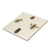 Carreau Mouches et coléoptères par Vision Studio (Côté)