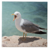 Carreau Mouette (Devant)