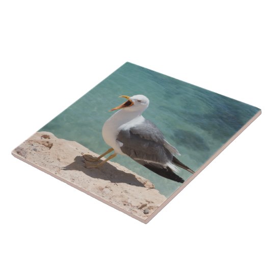 Carreau Mouette (Côté)