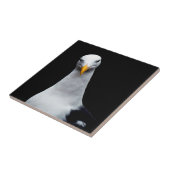 Carreau Mouette (Côté)