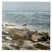 Carreau Mouette (Devant)