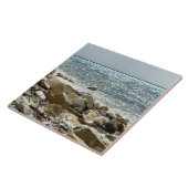 Carreau Mouette (Côté)