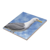 Carreau Mouette à pattes jaunes sur rocher (Côté)