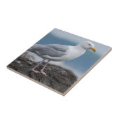 Carreau Mouette côtière (Côté)