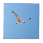Carreau Mouette en vol bleu (Devant)