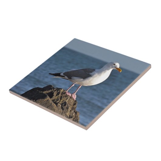 Carreau Mouette et océan blancs (Côté)