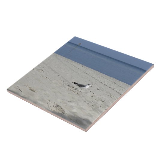 Carreau Mouette simple (Côté)