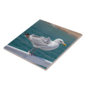 Carreau Mouette sur balustrade vue carrelage en céramique (Côté)