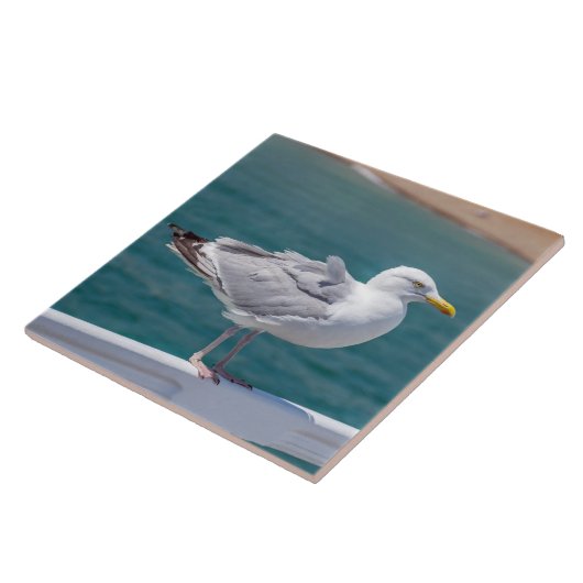 Carreau Mouette sur balustrade vue carrelage en céramique (Côté)