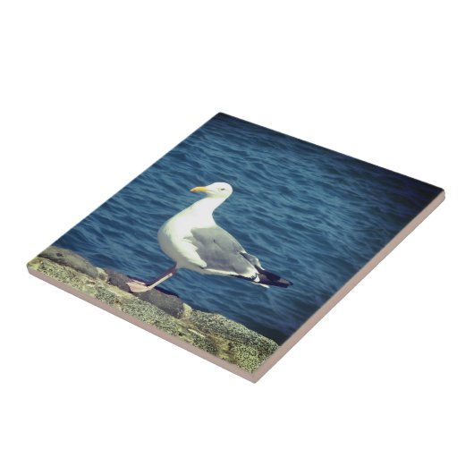 Carreau Mouette Sur La Baie (Côté)